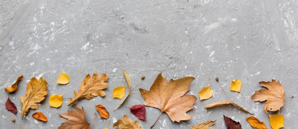 Autumn composition. Pattern made of dried leaves and other design accessories Stock Photos