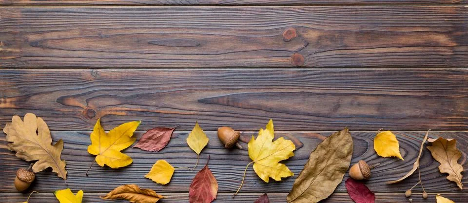 Autumn composition. Pattern made of dried leaves and other design accessories Foto stock
