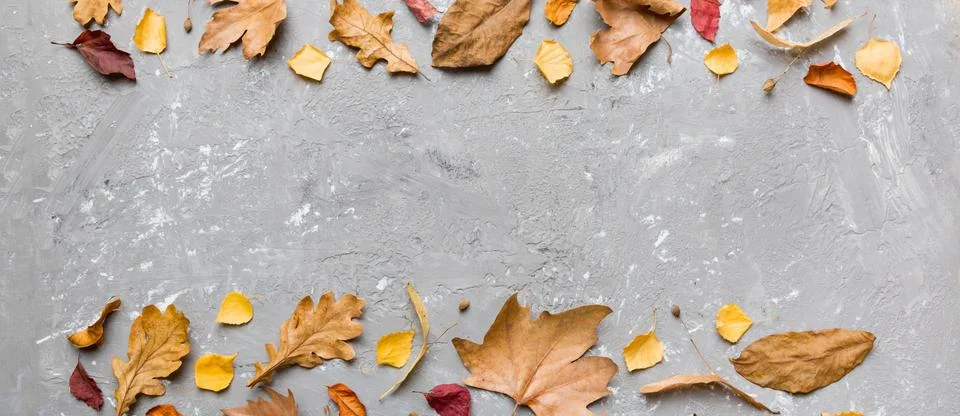 Autumn composition. Pattern made of dried leaves and other design accessories 스톡 사진