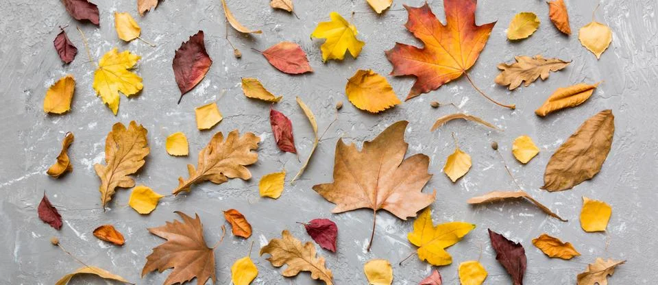 Autumn composition. Pattern made of dried leaves and other design accessories Foto stock