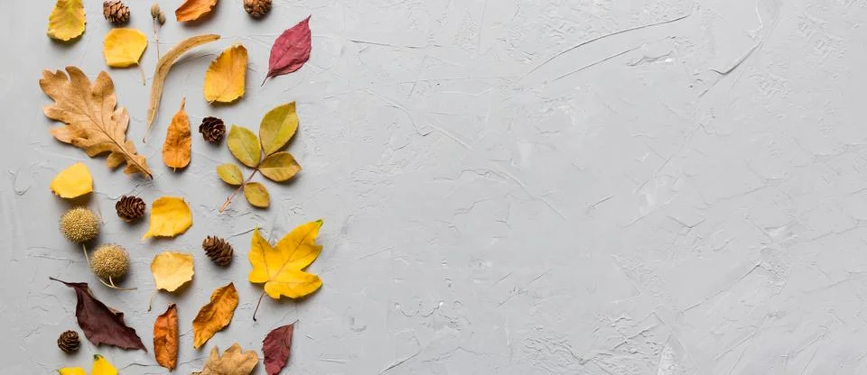 Autumn composition. Pattern made of dried leaves and other design accessories Foto stock