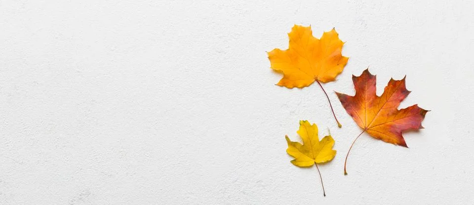 Autumn composition. Pattern made of dried leaves and other design accessories Foto stock