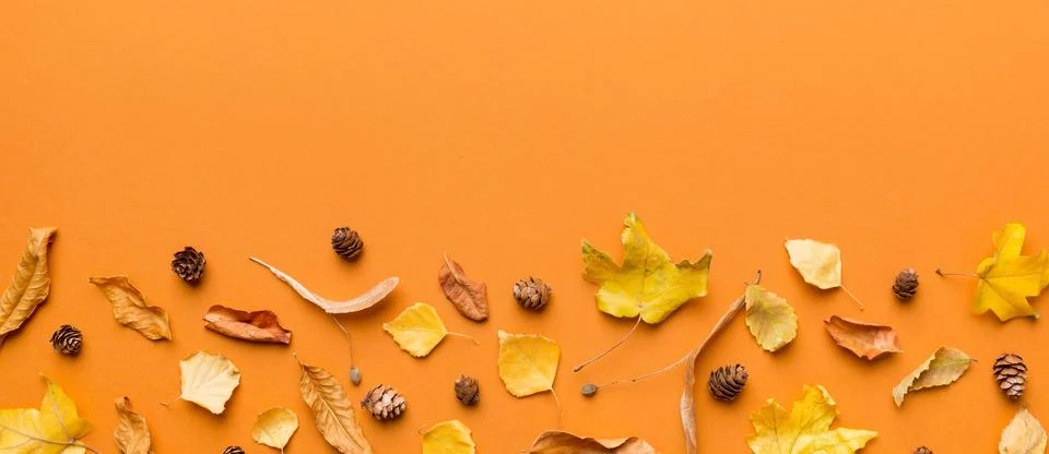 Autumn composition. Pattern made of dried leaves and other design accessories Foto stock