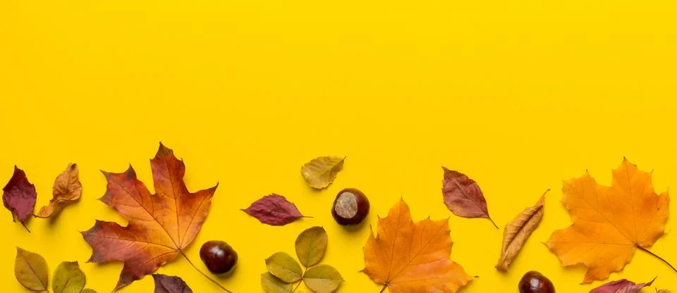 Autumn composition. Pattern made of dried leaves and other design accessori.. Stock Photos