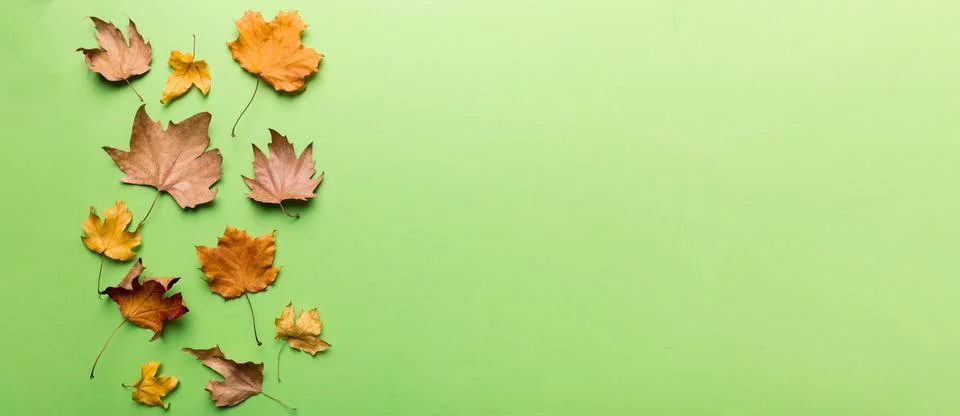 Autumn composition. Pattern made of dried leaves and other design accessori.. Foto stock