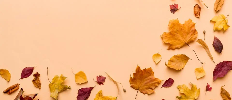 Autumn composition. Pattern made of dried leaves and other design accessories Stock Photos