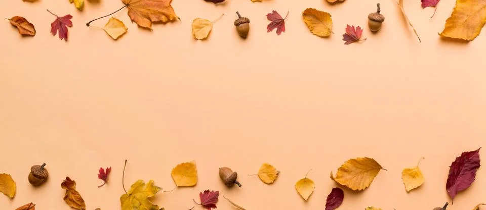 Autumn composition. Pattern made of dried leaves and other design accessori.. 写真素材