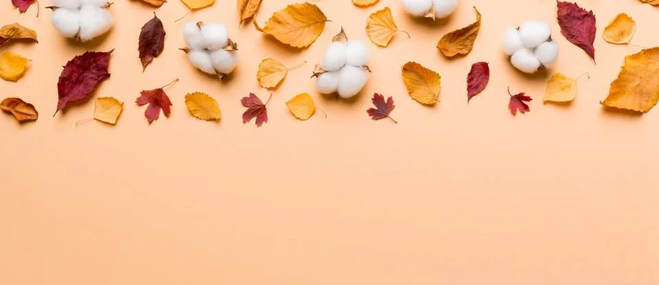 Autumn composition. Pattern made of dried leaves and other design accessories Foto stock