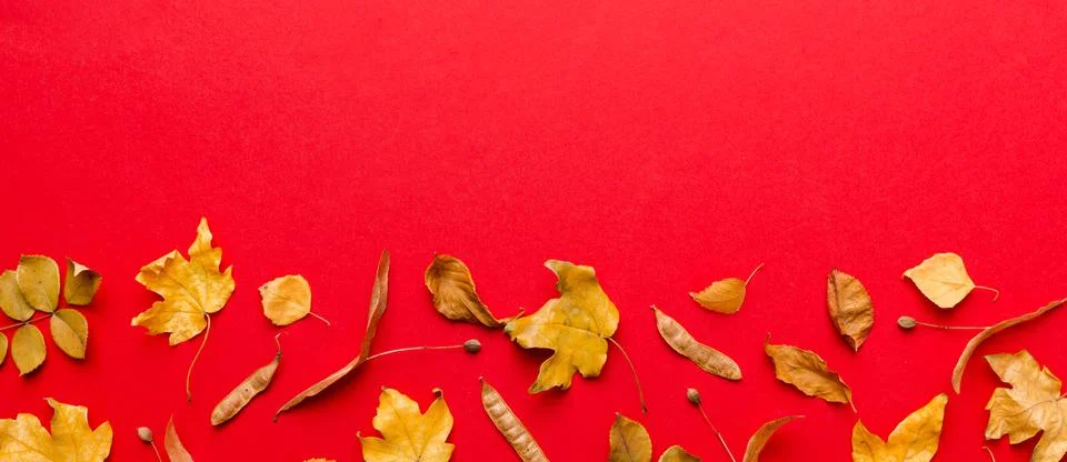 Autumn composition. Pattern made of dried leaves and other design accessori.. Stock Photos