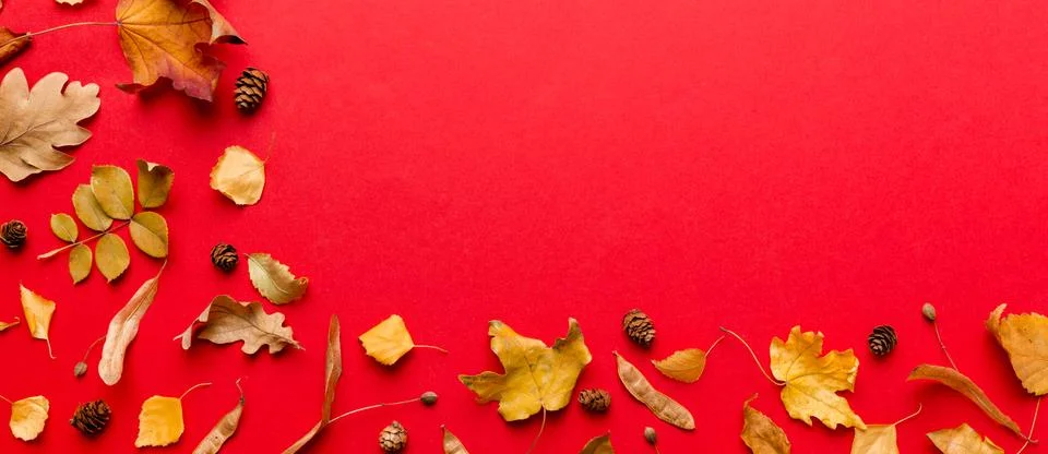 Autumn composition. Pattern made of dried leaves and other design accessories Stock Photos
