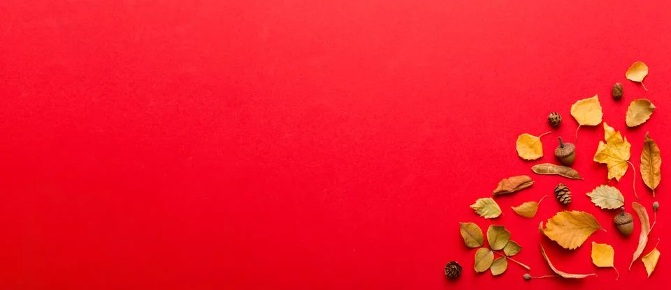 Autumn composition. Pattern made of dried leaves and other design accessories Foto stock