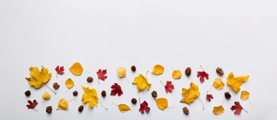 Autumn composition. Pattern made of dried leaves and other design accessories Stock Photos