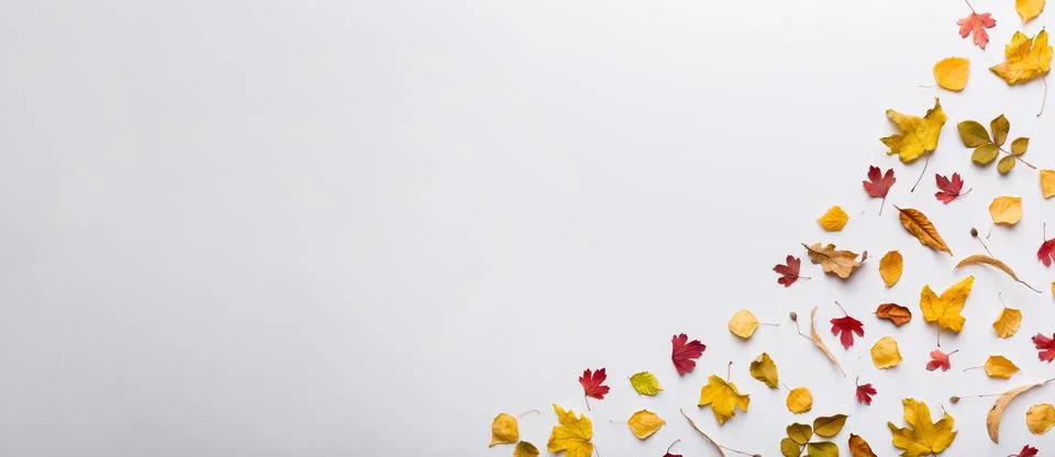 Autumn composition. Pattern made of dried leaves and other design accessories Stock Photos