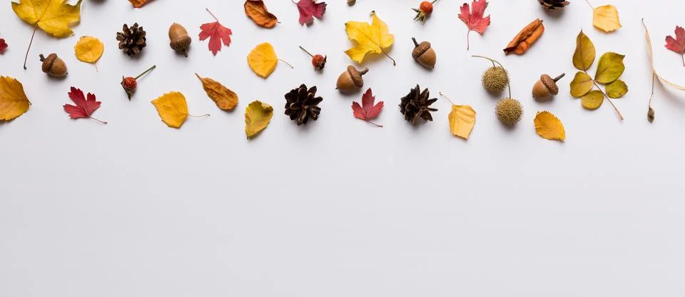 Autumn composition. Pattern made of dried leaves and other design accessories Stock Photos