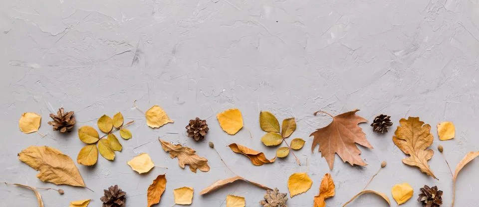Autumn composition. Pattern made of dried leaves and other design accessories Stock Photos