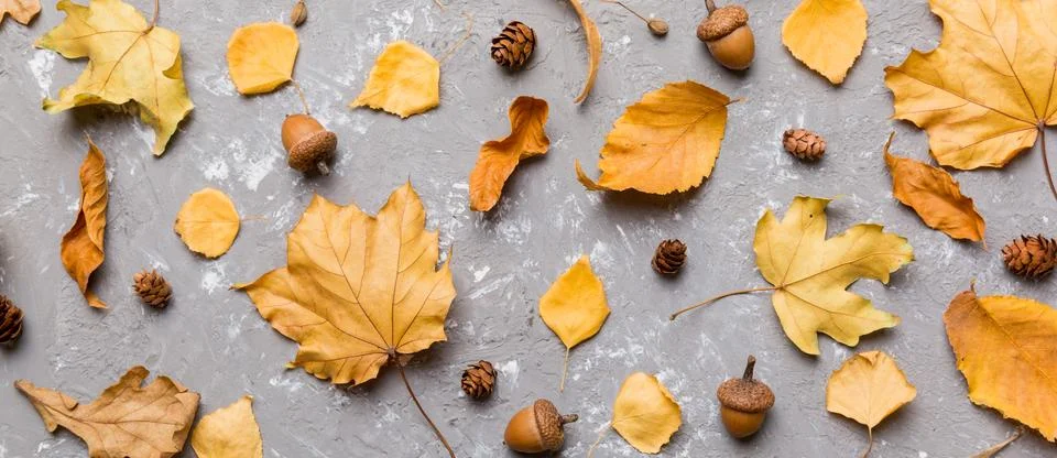 Autumn composition. Pattern made of dried leaves and other design accessories Stock Photos