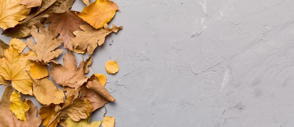 Autumn composition. Pattern made of dried leaves and other design accessories Stock Photos