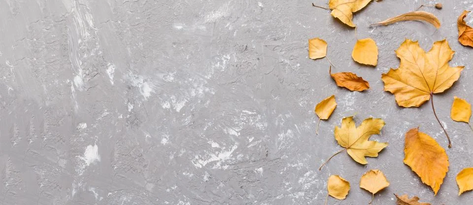 Autumn composition. Pattern made of dried leaves and other design accessories Foto stock