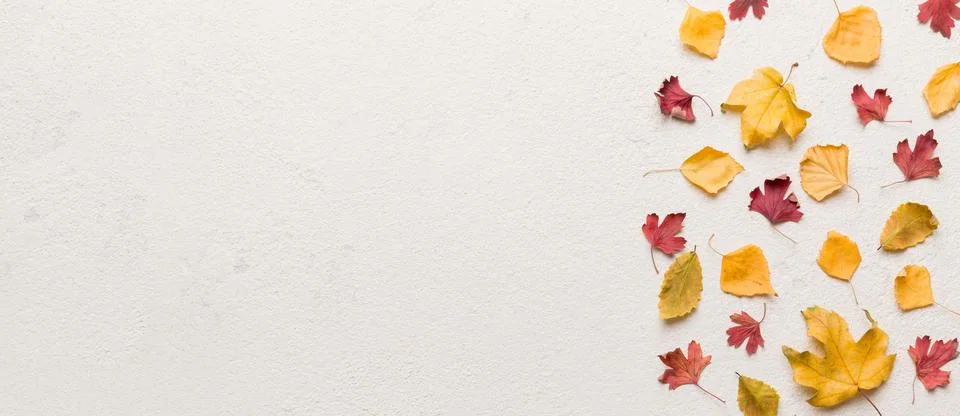 Autumn composition. Pattern made of dried leaves and other design accessories Foto stock