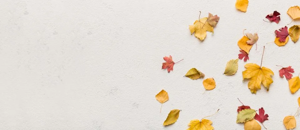 Autumn composition. Pattern made of dried leaves and other design accessories Stock Photos