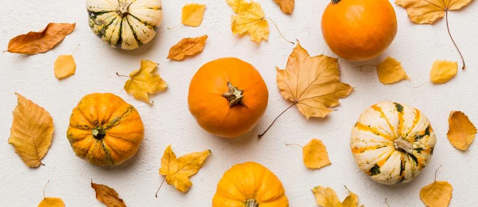 Autumn composition. Pattern made of dried leaves and other design accessories Stock Photos