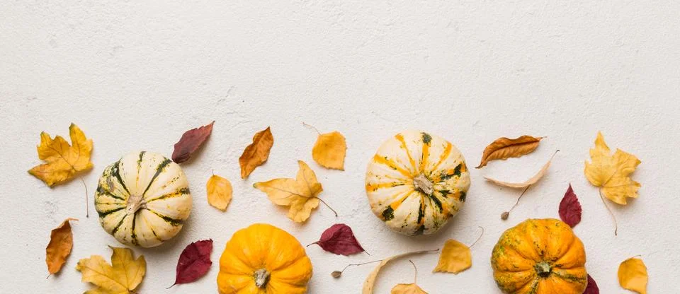 Autumn composition. Pattern made of dried leaves and other design accessories Stock Photos