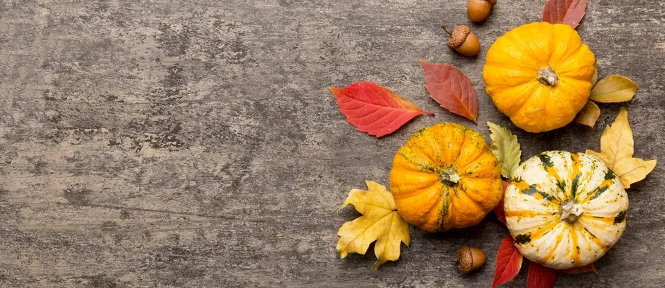 Autumn composition. Pattern made of dried leaves and other design accessori.. Stock Photos