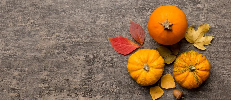 Autumn composition. Pattern made of dried leaves and other design accessori.. Foto stock