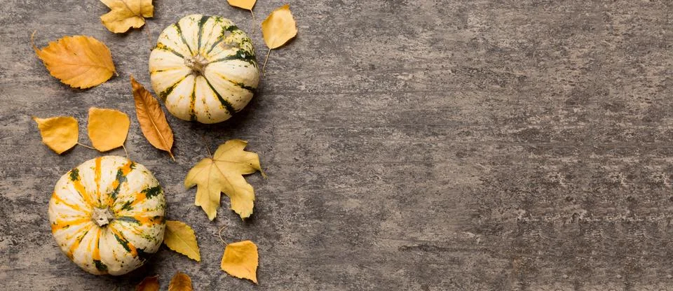 Autumn composition. Pattern made of dried leaves and other design accessories Stock Photos