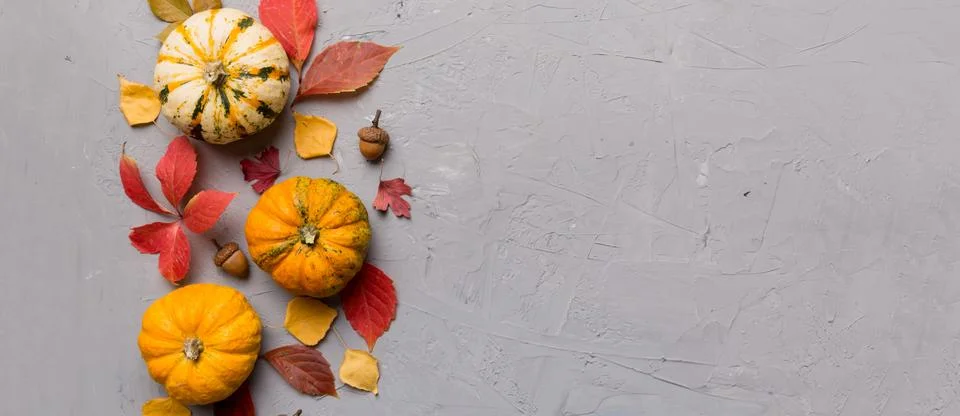 Autumn composition. Pattern made of dried leaves and other design accessories Stock Photos