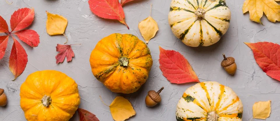 Autumn composition. Pattern made of dried leaves and other design accessories Stock Photos
