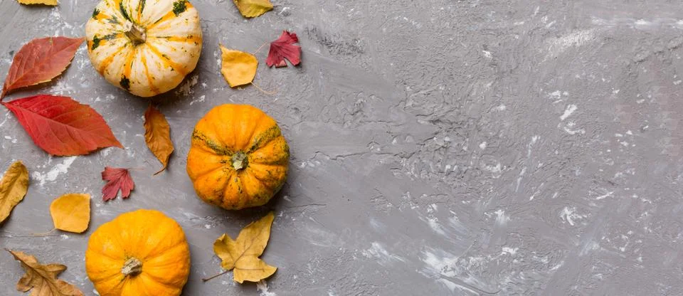 Autumn composition. Pattern made of dried leaves and other design accessories Stock Photos