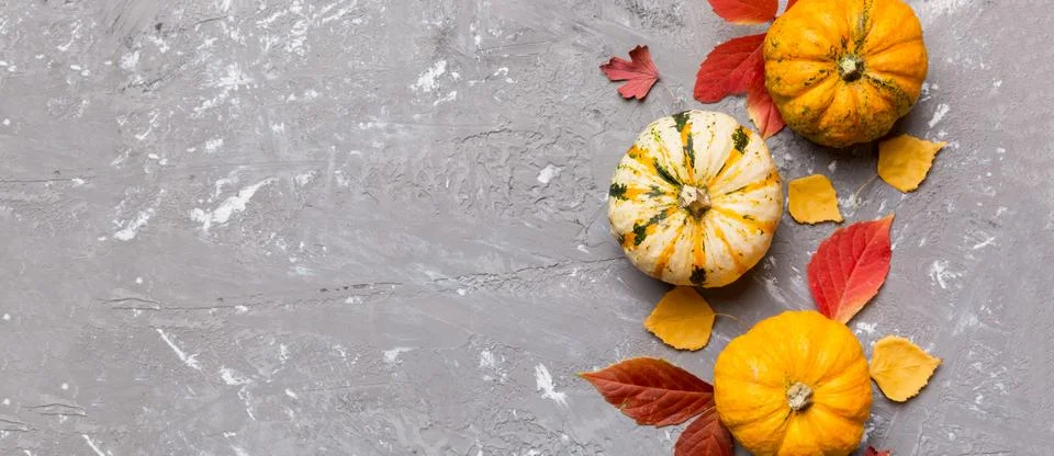 Autumn composition. Pattern made of dried leaves and other design accessories Stock Photos