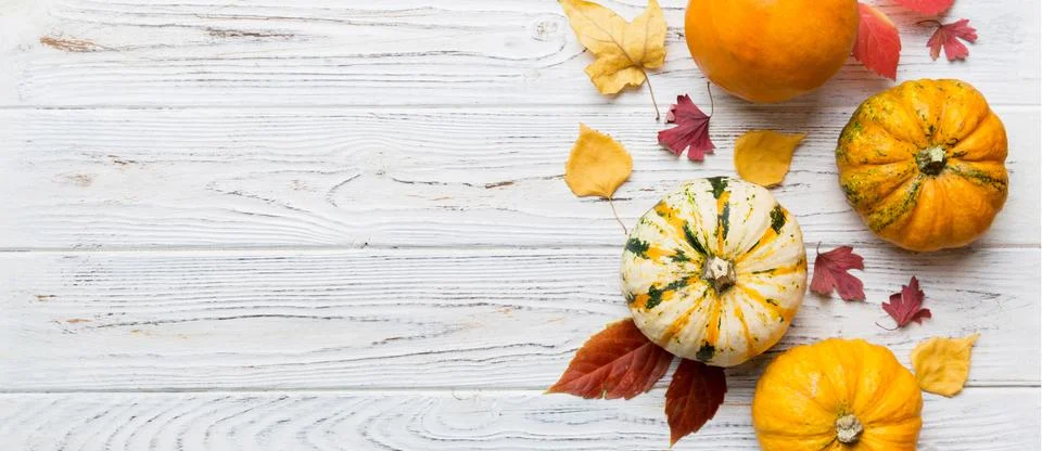 Autumn composition. Pattern made of dried leaves and other design accessories Stock Photos