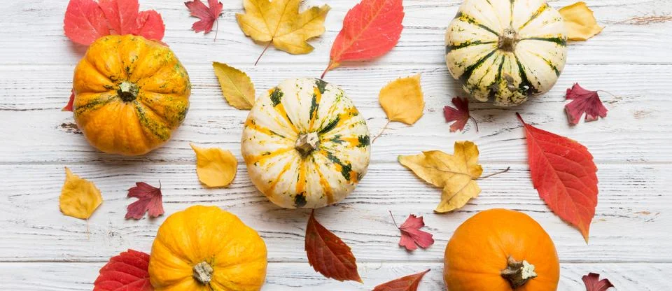 Autumn composition. Pattern made of dried leaves and other design accessories Stock Photos