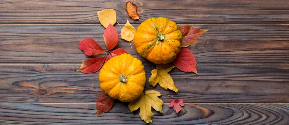 Autumn composition. Pattern made of dried leaves and other design accessories Stock Photos