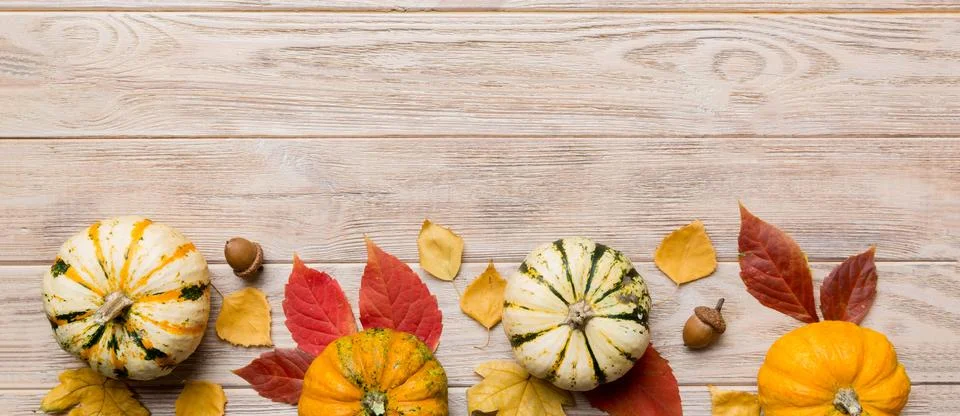 Autumn composition. Pattern made of dried leaves and other design accessories Stock Photos