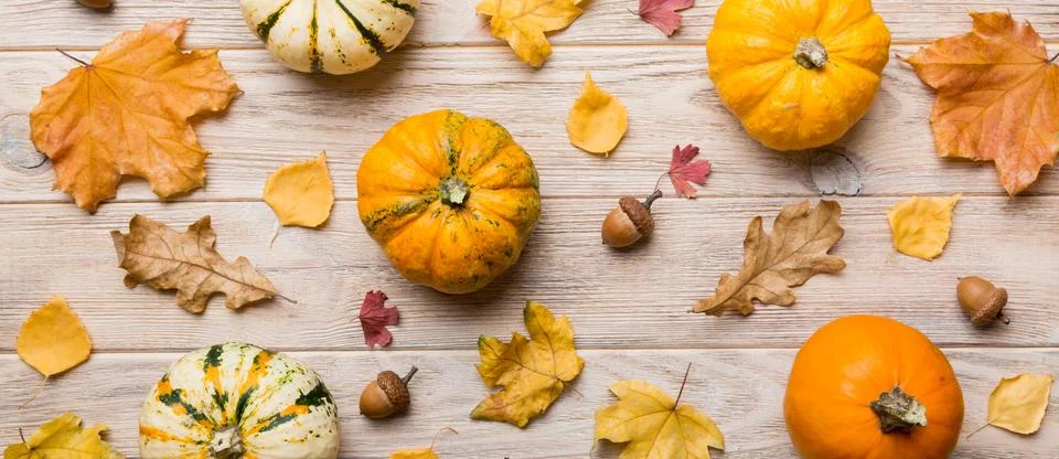 Autumn composition. Pattern made of dried leaves and other design accessories Stock Photos
