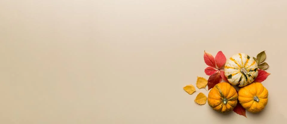 Autumn composition. Pattern made of dried leaves and other design accessories Stock Photos