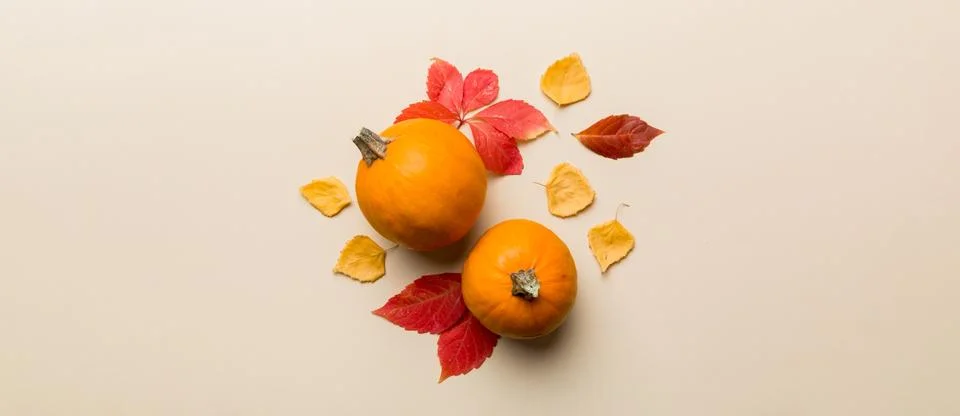 Autumn composition. Pattern made of dried leaves and other design accessories Stock Photos