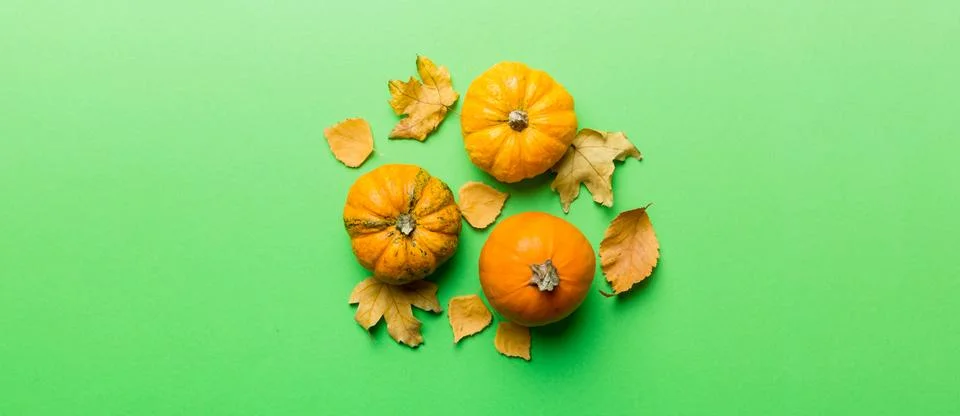 Autumn composition. Pattern made of dried leaves and other design accessori.. 写真素材