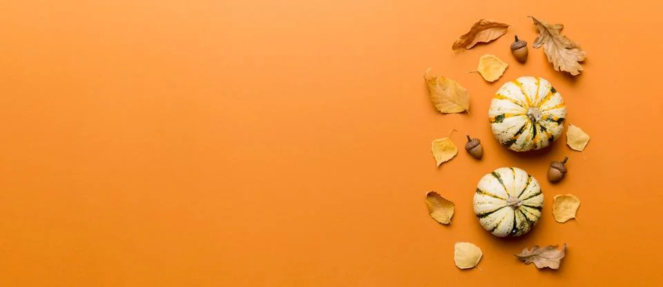 Autumn composition. Pattern made of dried leaves and other design accessories Stock Photos