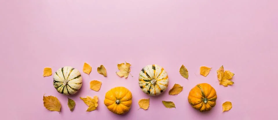 Autumn composition. Pattern made of dried leaves and other design accessories Stock Photos