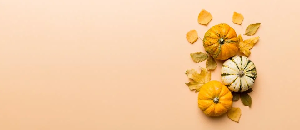 Autumn composition. Pattern made of dried leaves and other design accessories Stock Photos