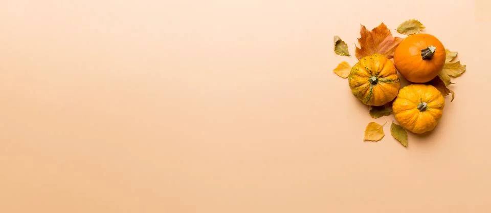 Autumn composition. Pattern made of dried leaves and other design accessories Stock Photos