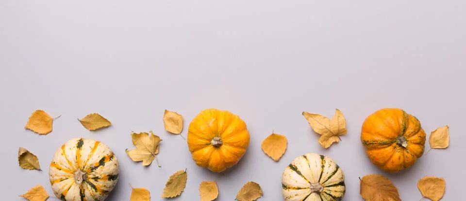 Autumn composition. Pattern made of dried leaves and other design accessories Stock Photos
