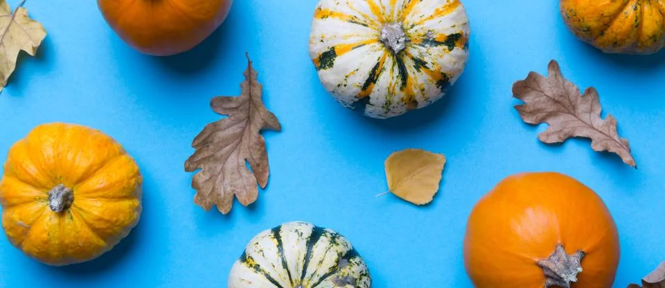 Autumn composition. Pattern made of dried leaves and other design accessori.. Stock Photos