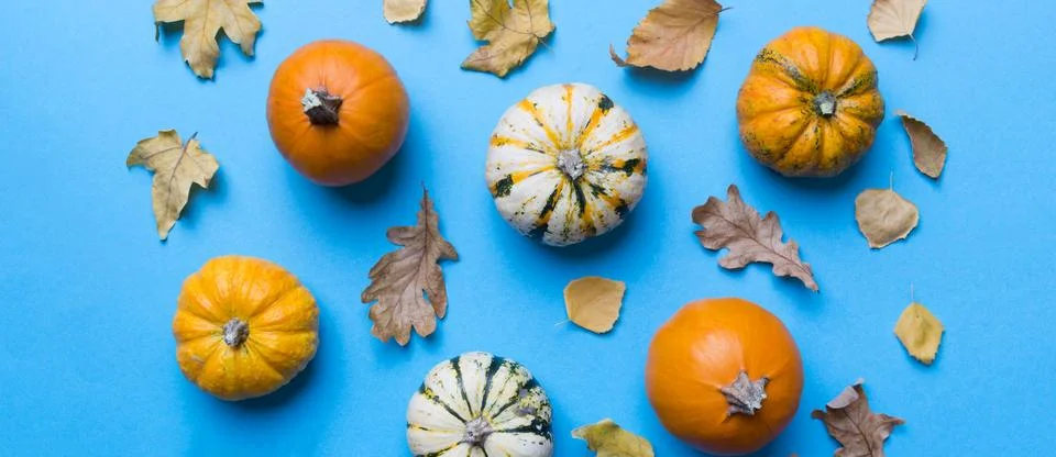 Autumn composition. Pattern made of dried leaves and other design accessori.. Stock Photos
