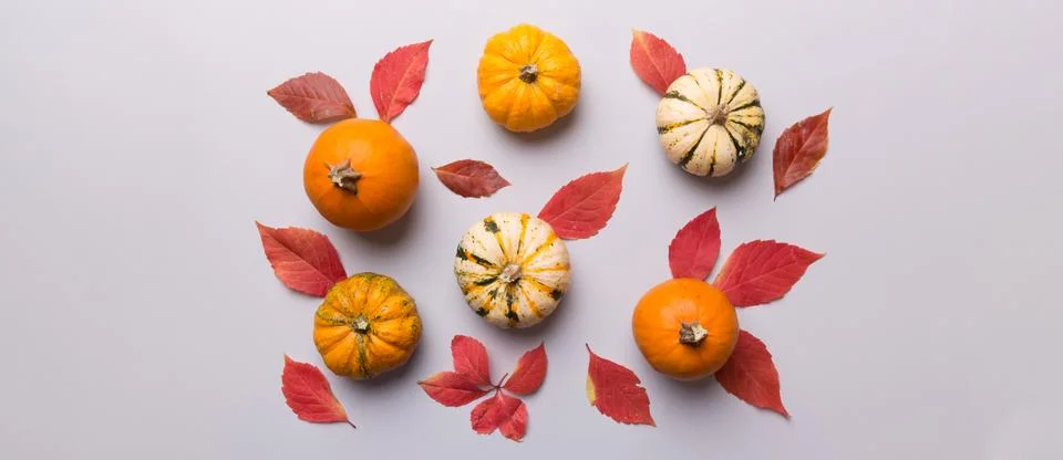 Autumn composition. Pattern made of dried leaves and other design accessories 스톡 사진