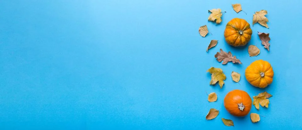 Autumn composition. Pattern made of dried leaves and other design accessories Stock Photos